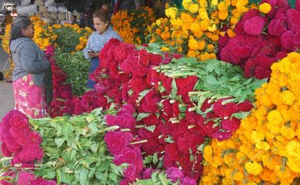 Por Día de Muertos, arranca operativo “Bienvenido oaxaqueño migrante”; se esperan a 8 mil paisanos