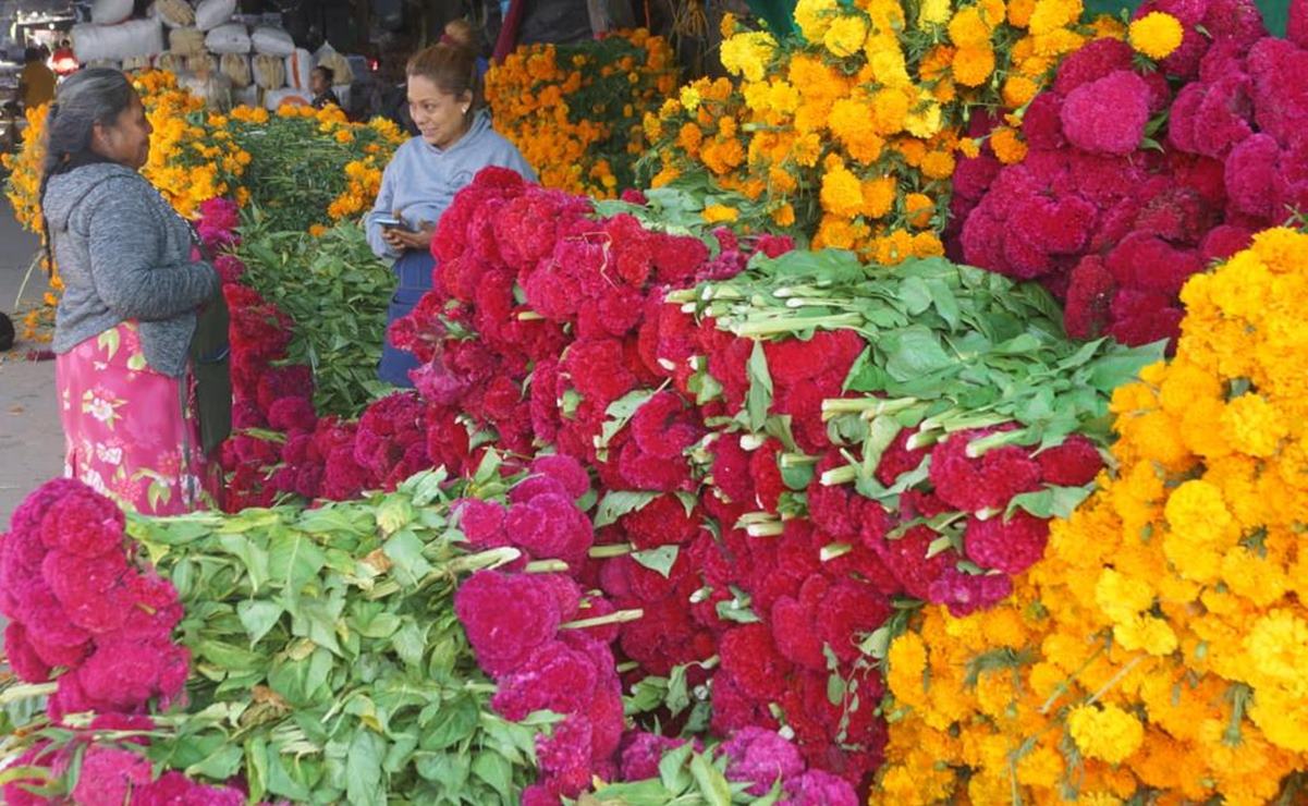 Por Día de Muertos, arranca operativo “Bienvenido oaxaqueño migrante”; se esperan a 8 mil paisanos. Fotos: Edwin Hernández