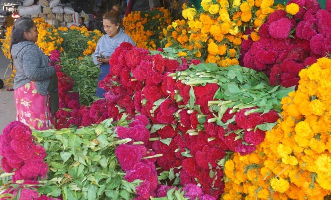 Por Día de Muertos, arranca operativo “Bienvenido oaxaqueño migrante”; se esperan a 8 mil paisanos. Fotos: Edwin Hernández