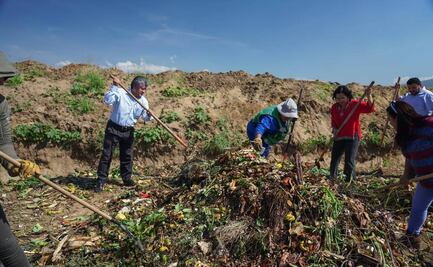 Camiones recolectarán basura orgánica los miércoles y sábados en la ciudad de Oaxaca