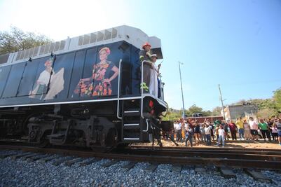 Acusan al Interoceánico por derribar 7 mil plantas endémicas en Oaxaca, para rehabilitar línea K del tren