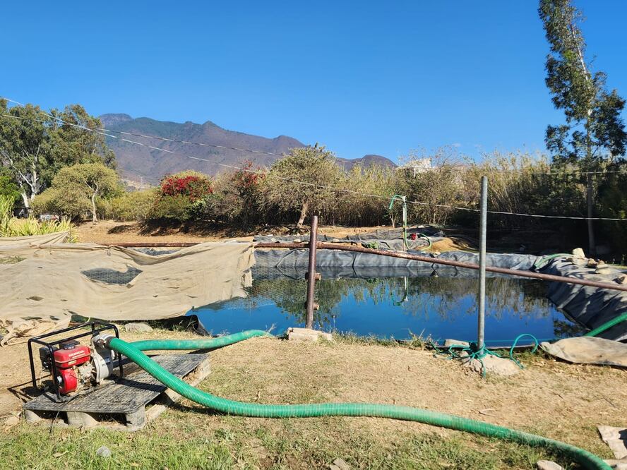 En medio de crisis hídrica en Oaxaca, aseguran pipas y detienen a 4 por despojo de aguas. Fotos: Especiales