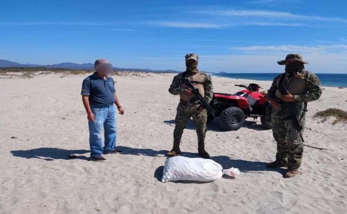 Aseguran mil 200 huevos de tortuga en una playa de San Pedro Huamelula, en el Istmo