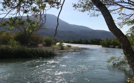 La 4T intentó comprar tierras en Oaxaca para Polos de Desarrollo del Interoceánico, sin realizar consulta