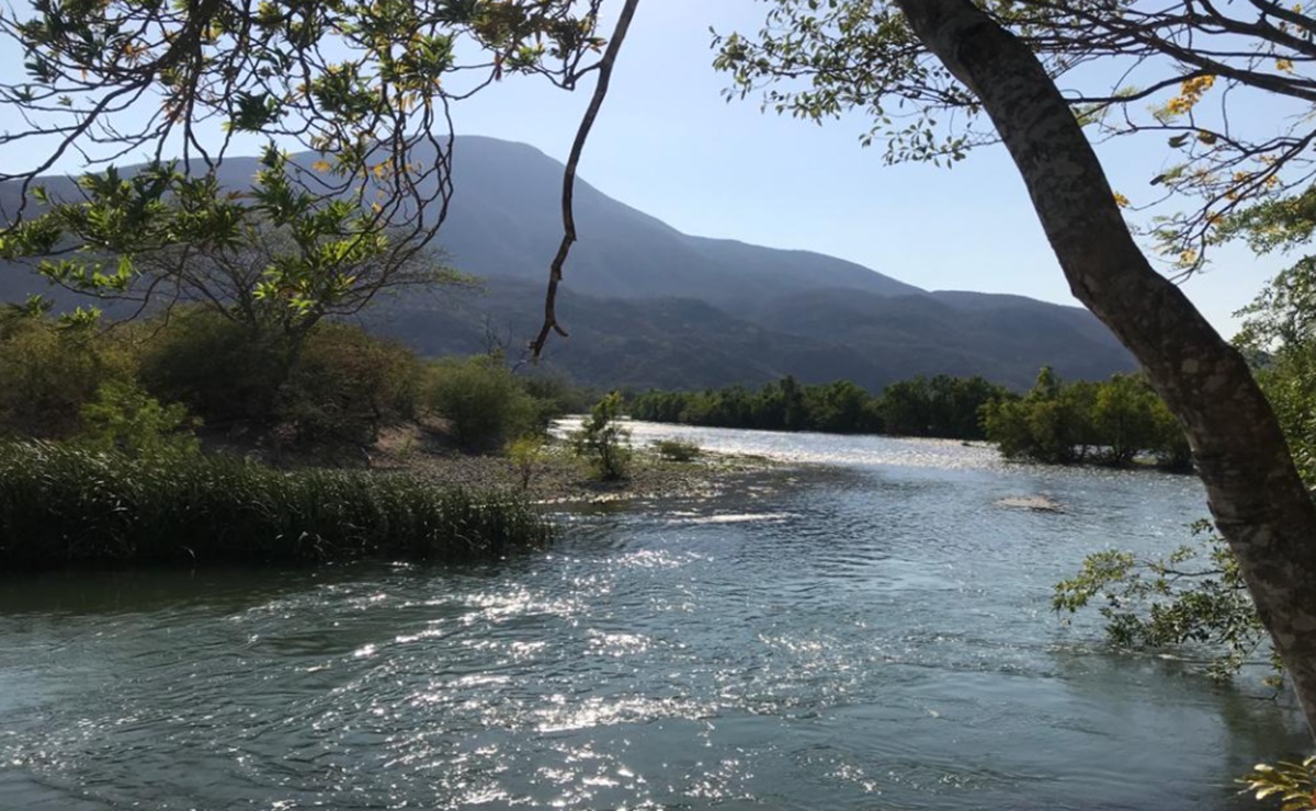 Fotos: Roselia Chaca/EL UNIVERSAL