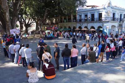 Consulta por Tren Maya supera expectativa de participación