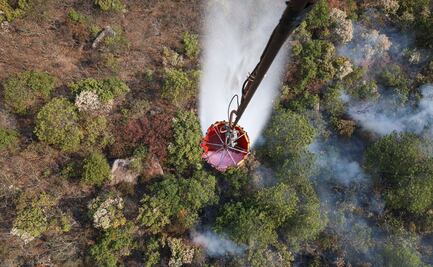 Reportan como controlado al 100% el incendio forestal entre Mitla y Villa Díaz Ordaz, Oaxaca