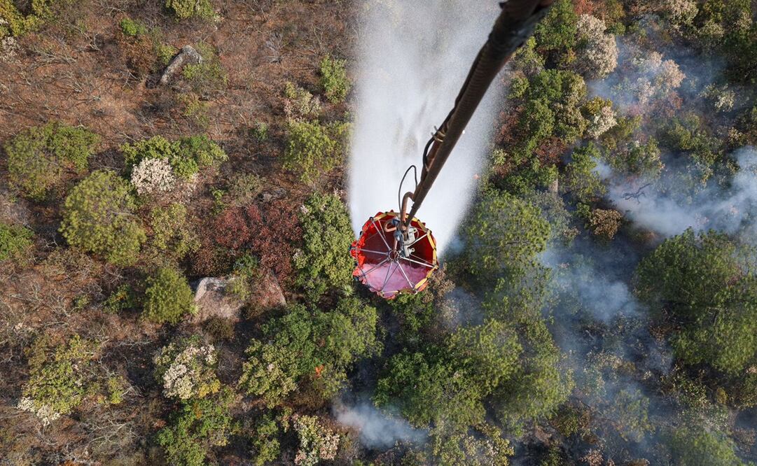 Reportan como controlado al 100% el incendio forestal entre Mitla y Villa Díaz Ordaz, Oaxaca. Foto: Especial