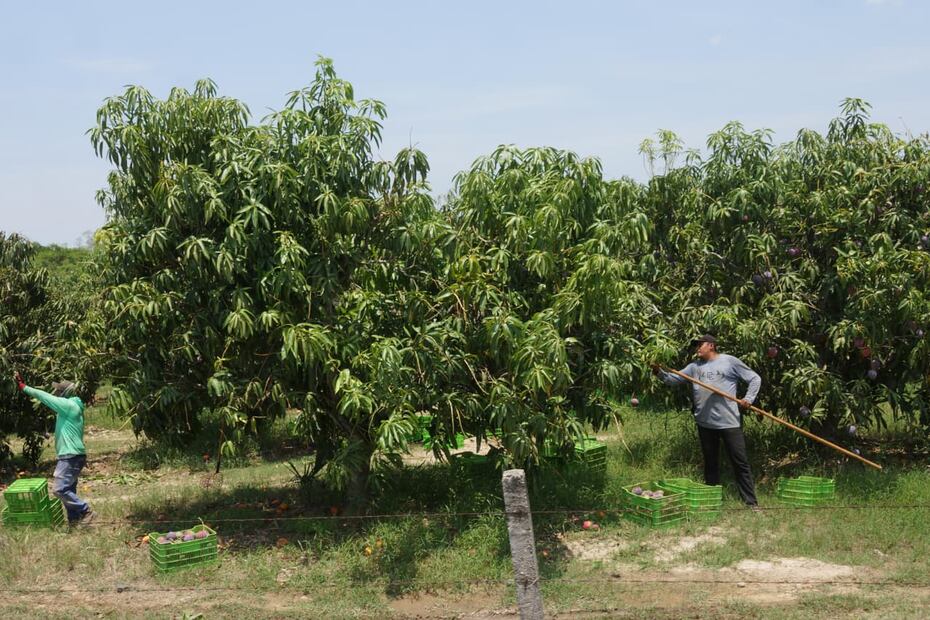 Foto: Edwin Hernández EL UNIVERSAL