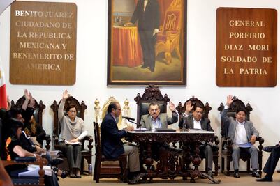 Aprueba Cabildo esterilización obligatoria de animales domésticos