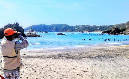 Paraíso en disputa: Comuneros de Pochutla buscan recuperar 8 mil hectáreas cedidas a Tonameca