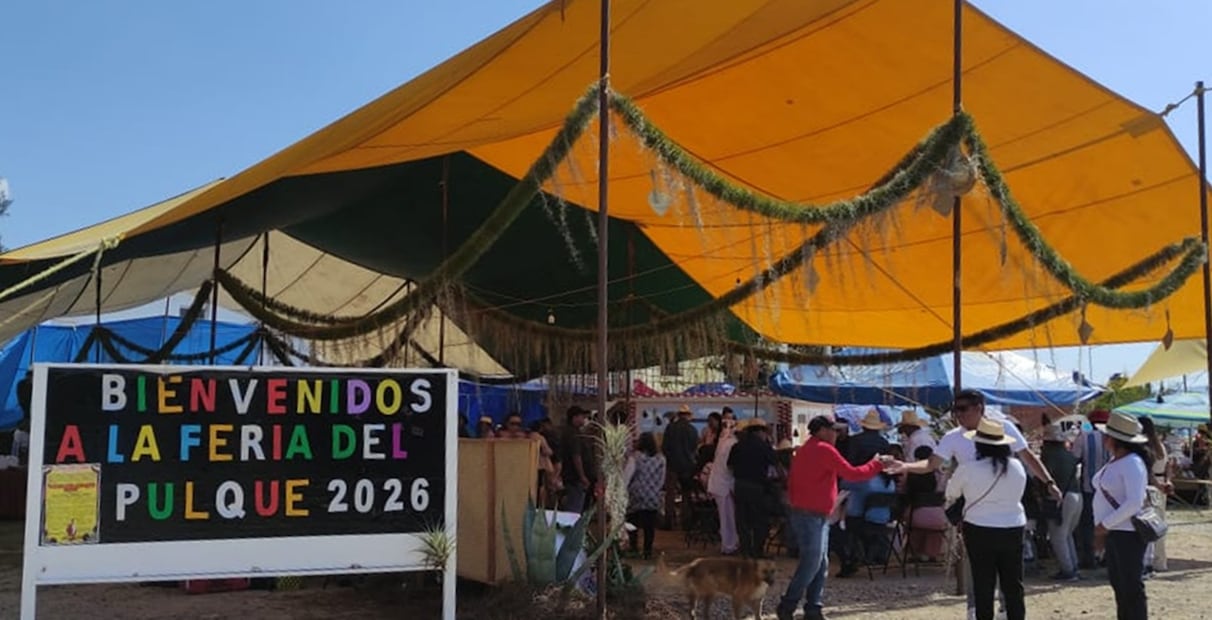 La Feria del Pulque busca promover el renacimiento de la producción en la Mixteca de Oaxaca