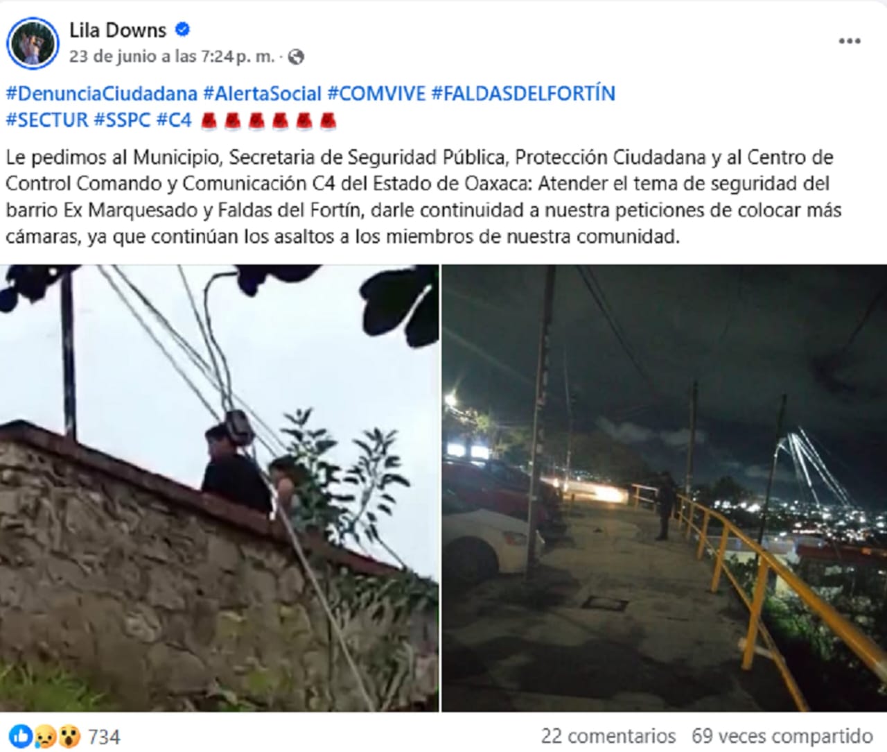 Lila Downs denuncia inseguridad en la ciudad de Oaxaca. Foto: Especial