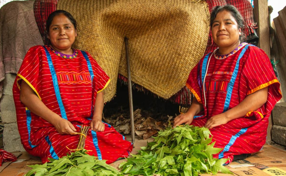 Pueblos triquis de Oaxaca resisten pandemia con el kuaá já, un baño de hierbas en el temazcal