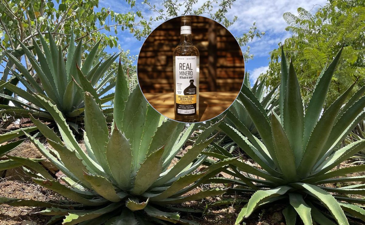 Mezcal minero, esta es la historia de la bebida de origen de Santa Catarina Minas