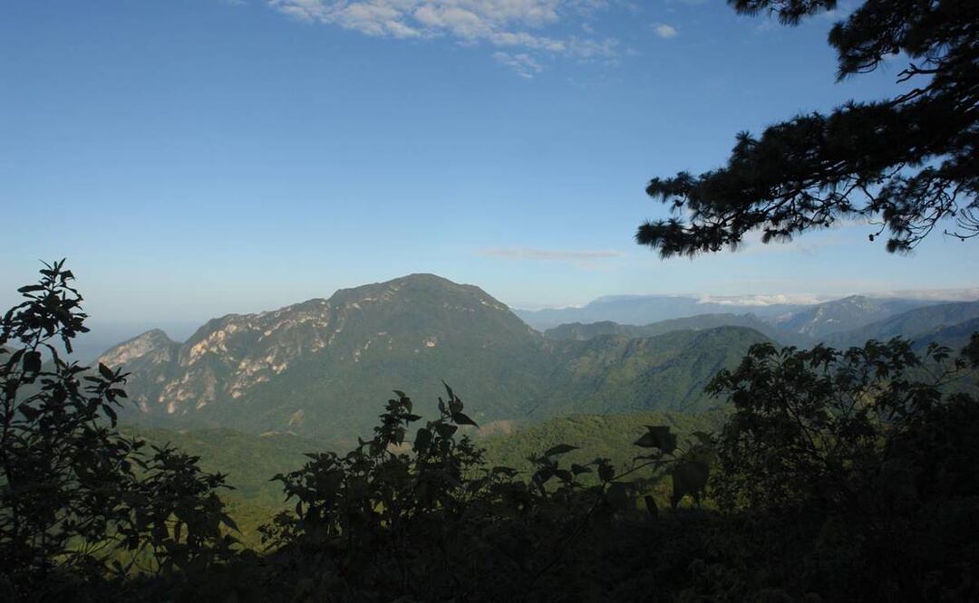 Foto: Roselia Chaca / Archivo EL UNIVERSAL