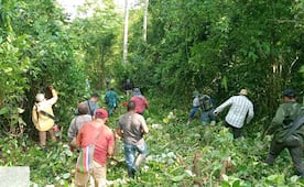 Comuneros de Santa María Chimalapa mantienen brecheo en zona limítrofe con Petapa