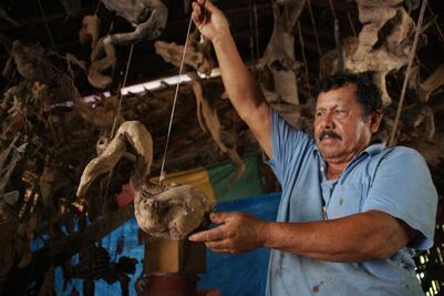 Seres fantásticos creados por la naturaleza, en el museo de un pescador en Oaxaca