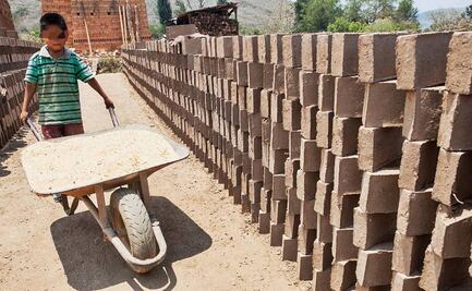 En Oaxaca trabajan más de 226 mil niñas y niños; 11.8% en actividades no permitidas: Inegi