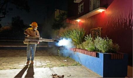 Se confirman cuatro defunciones por dengue en Oaxaca