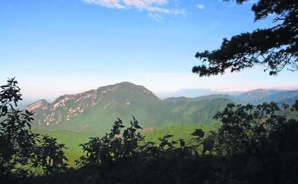Los Chimalapas, un conflicto  creado en Oaxaca por el gobierno federal hace 56 años