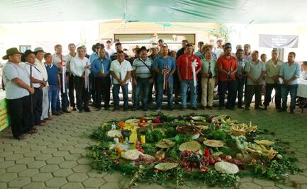 Pueblos de Oaxaca exigen que la 4T frene el “despojo legal” de territorios indígenas
