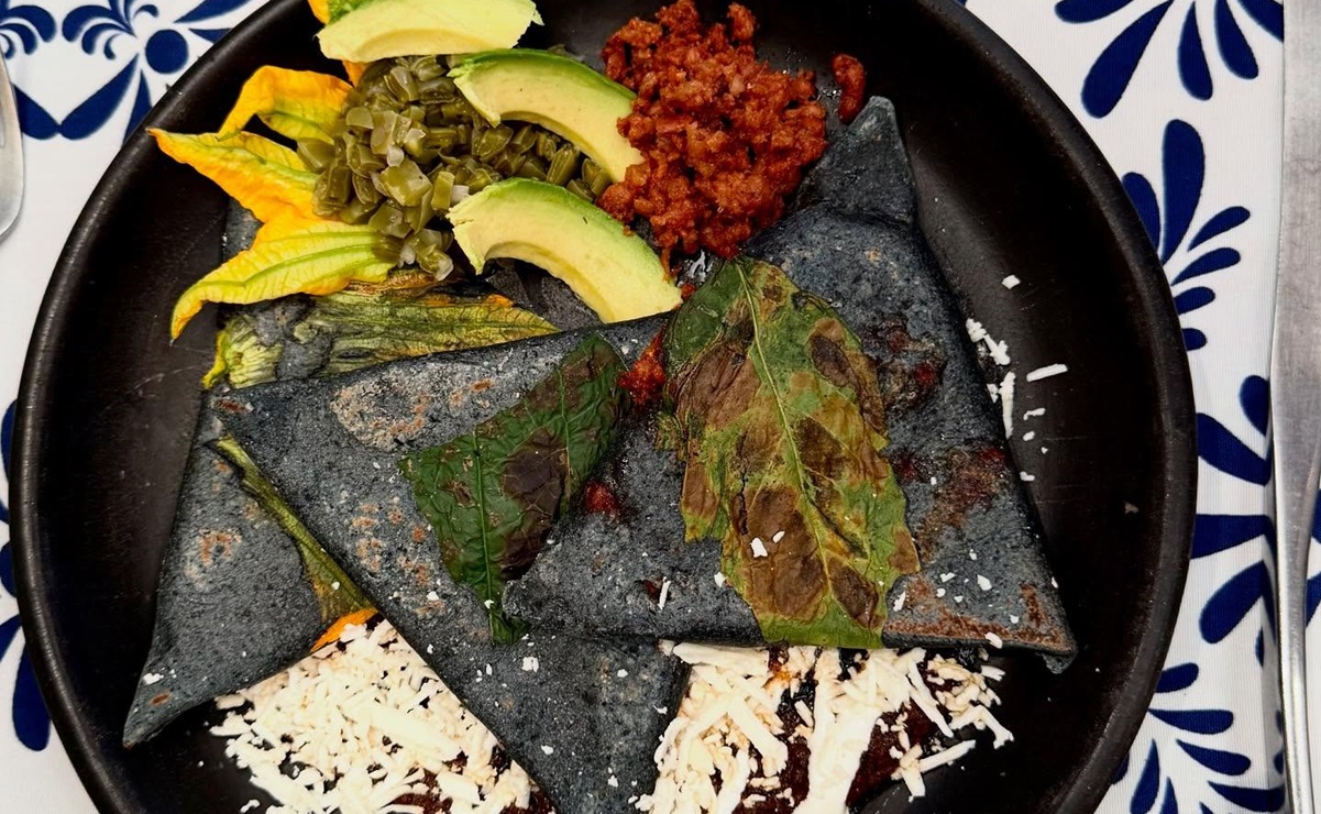 ¿Cuál es el platillo mixteco popular por su singular forma?