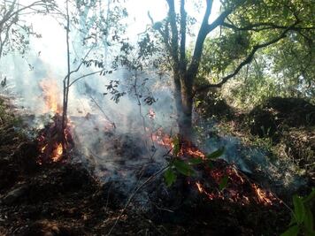 Se mantienen 11 incendios forestales activos en territorio oaxaqueño