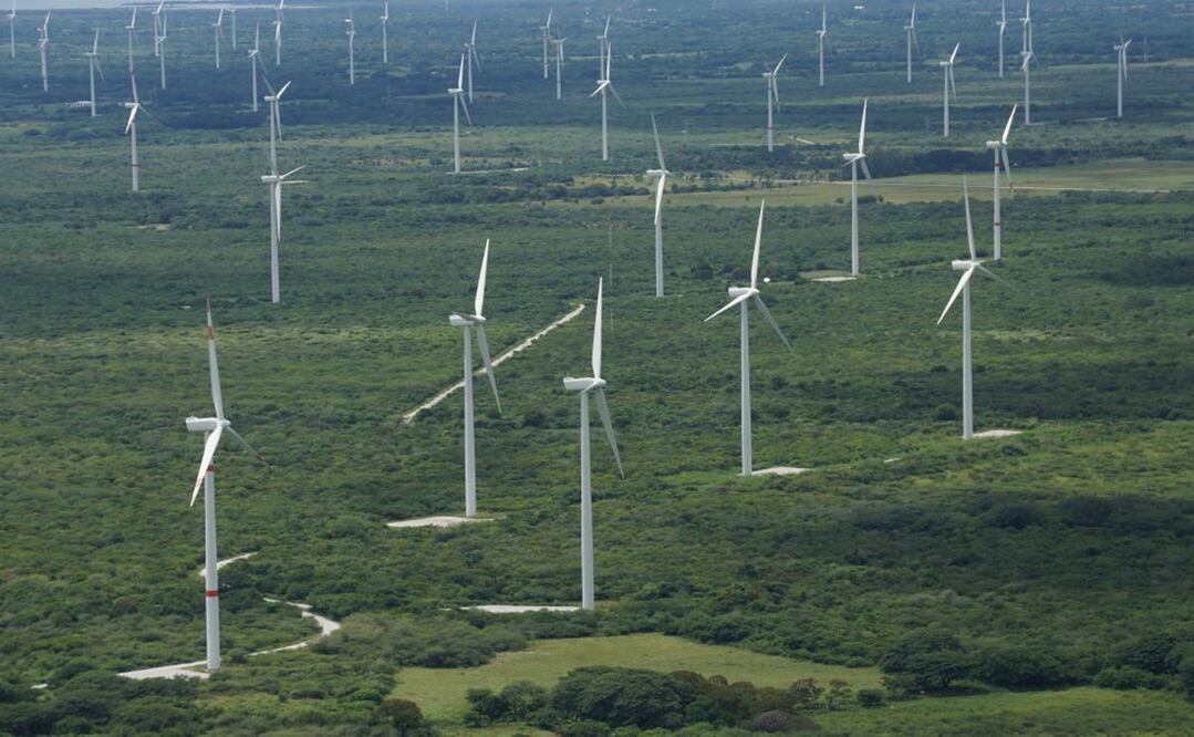 Corte de París admite demanda de Unión Hidalgo, pueblo zapoteco de Oaxaca, contra eólica francesa. Foto: Edwin Hernández
