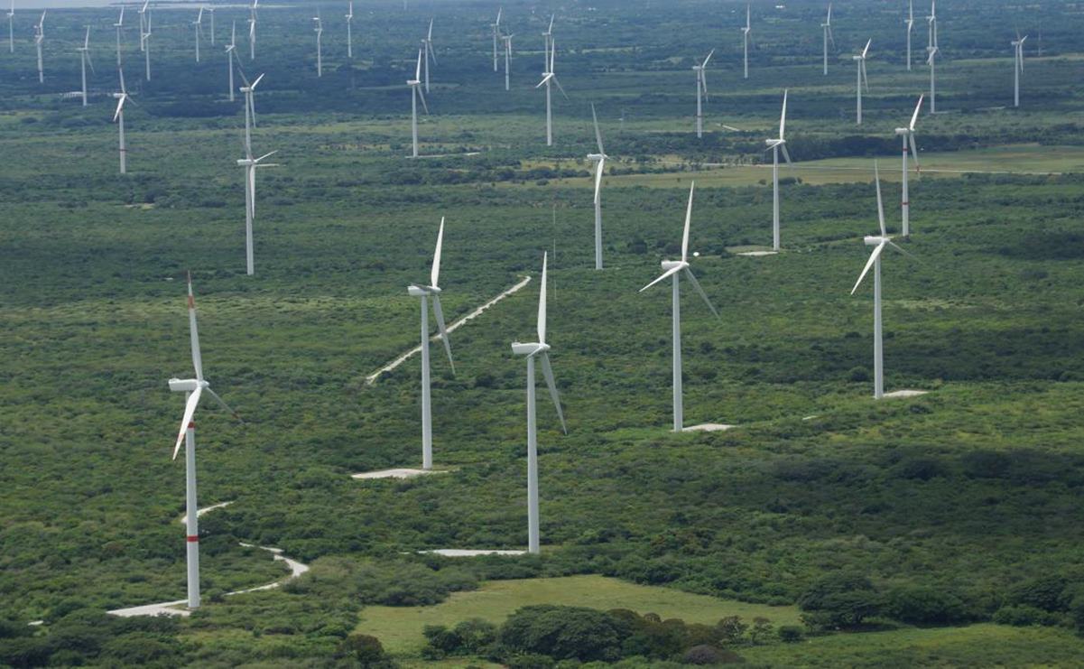 Corte de París admite demanda de Unión Hidalgo, pueblo zapoteco de Oaxaca, contra eólica francesa. Foto: Edwin Hernández
