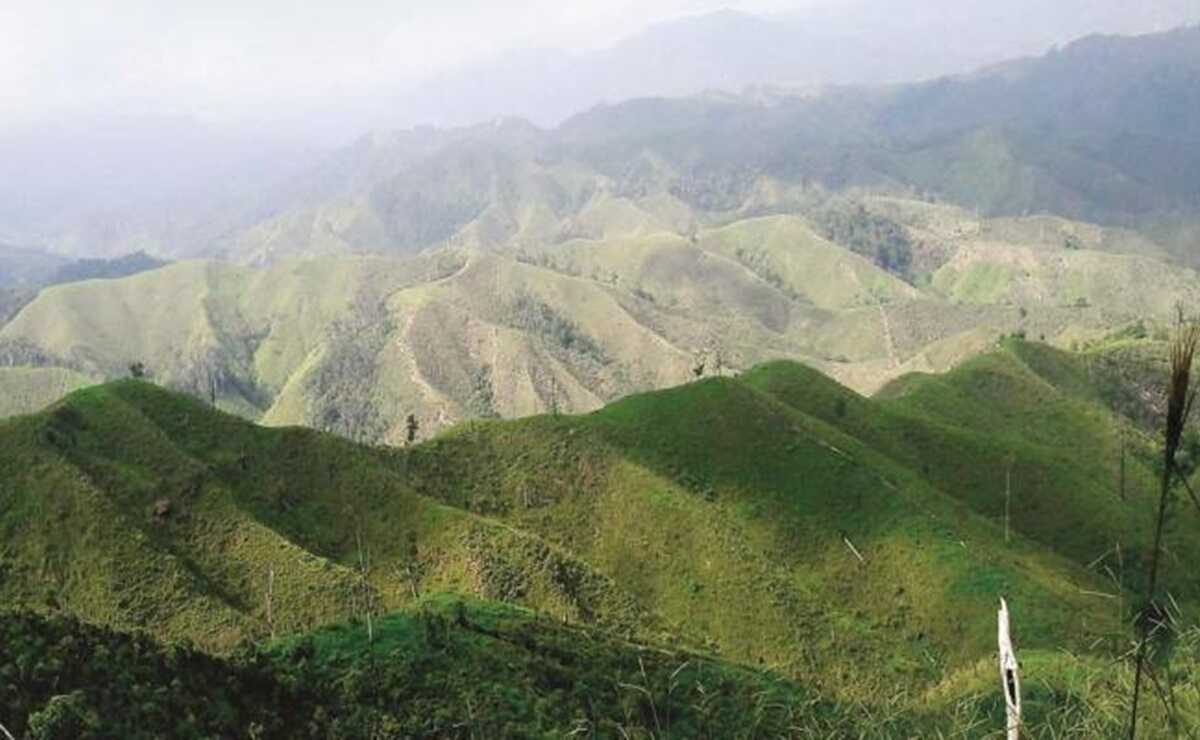 Chimalapas viajarán a CDMX para pedir a AMLO que vigile el cumplimiento de la sentencia de la SCJN. Foto: Archivo EL UNIVERSAL