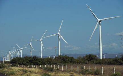 A 5 años de las promesas de la consulta indígena, parque eólico para Juchitán nunca llegó