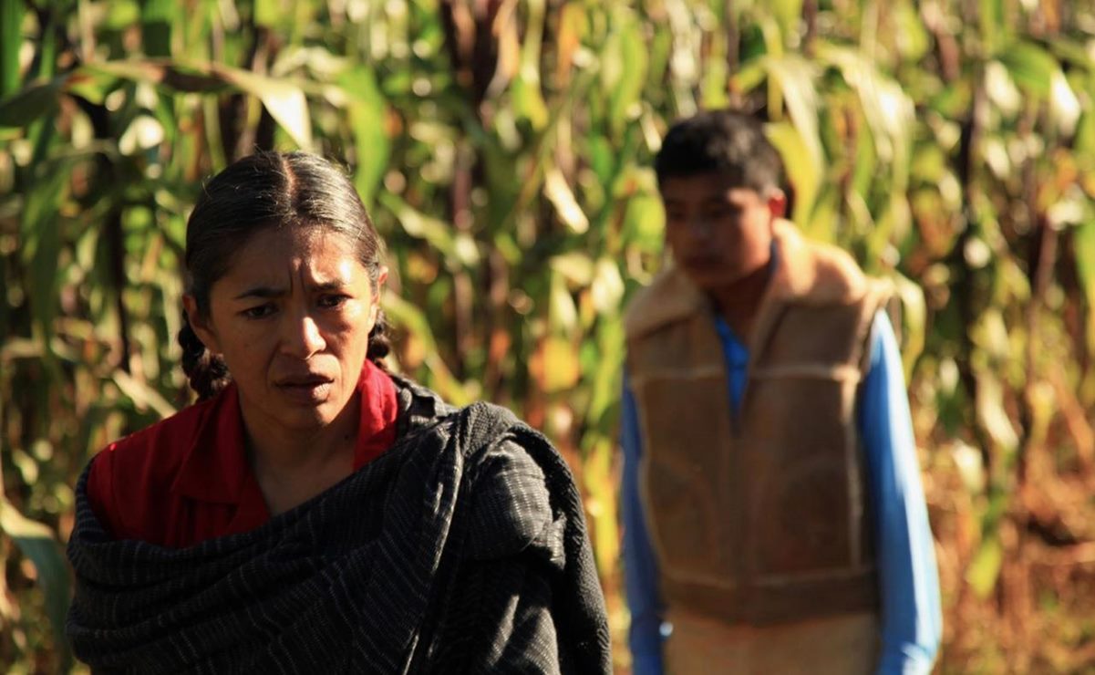Estos son los cortos de cineastas oaxaqueños que participan en el Festival Shorts México