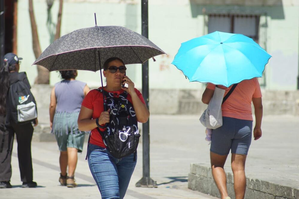 Foto: Edwin Hernandez