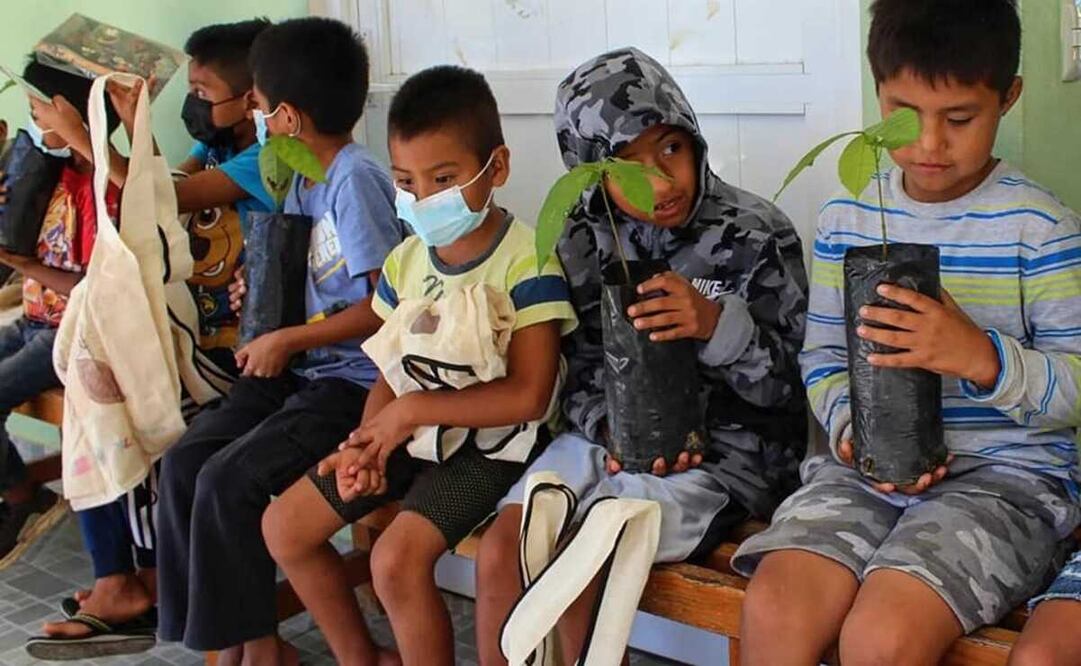 Escuelita del cacao, cultivan en niños de la Mixteca y la Sierra Sur amor por la semilla de Oaxaca. Foto: Cortesía