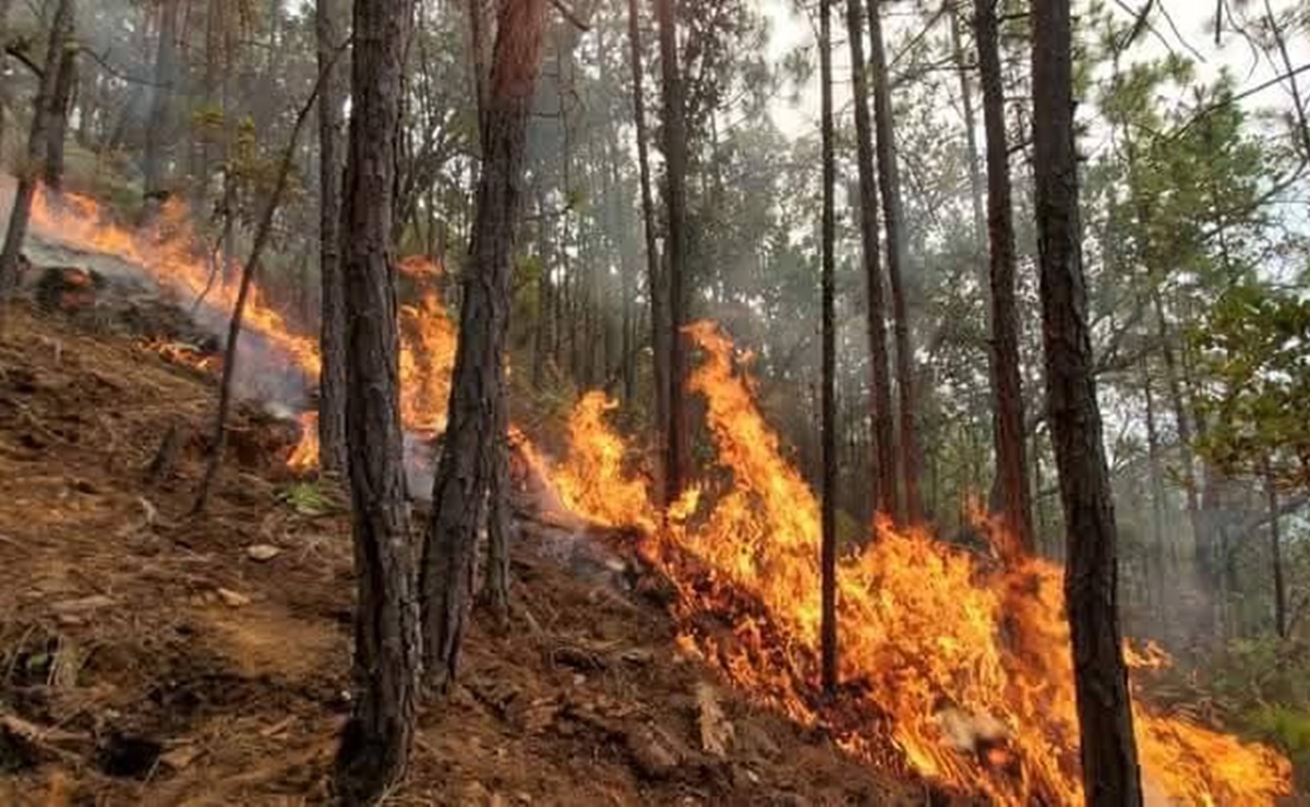 Reportan incendio forestal en zona de conflicto entre San Juan Mixtepec y Yosoñama, Oaxaca