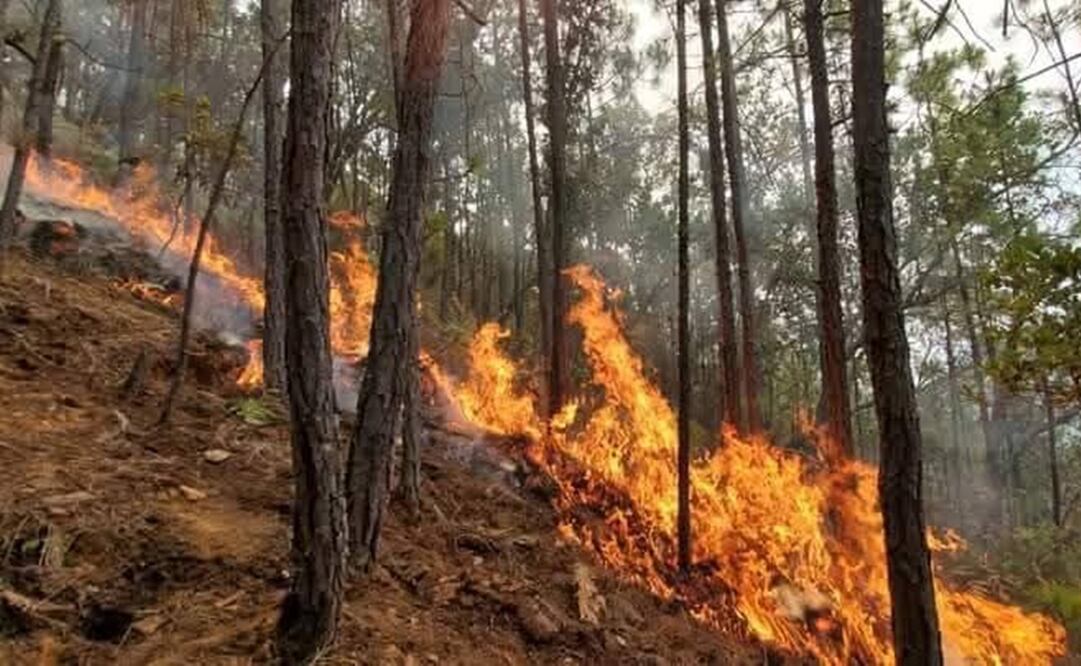 Reportan incendio forestal en zona de conflicto entre San Juan Mixtepec y Yosoñama, Oaxaca. Foto: Especial