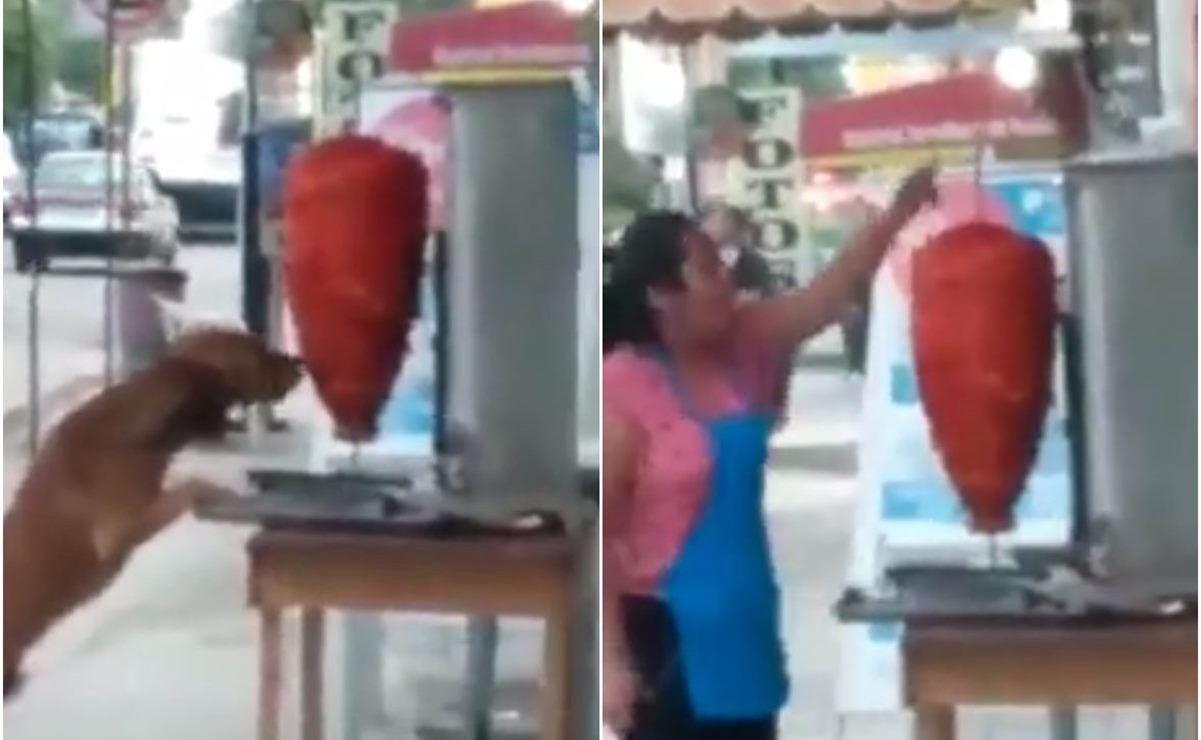 Viral. Perro muerde trompo de tacos al pastor y taquería no hace nada