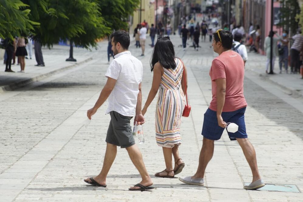 Foto: Mario Arturo Martínez/ EL UNIVERSAL