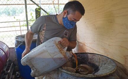 Huatulco, único municipio de Oaxaca que crea su biodiesel, reciclando aceite de restaurantes