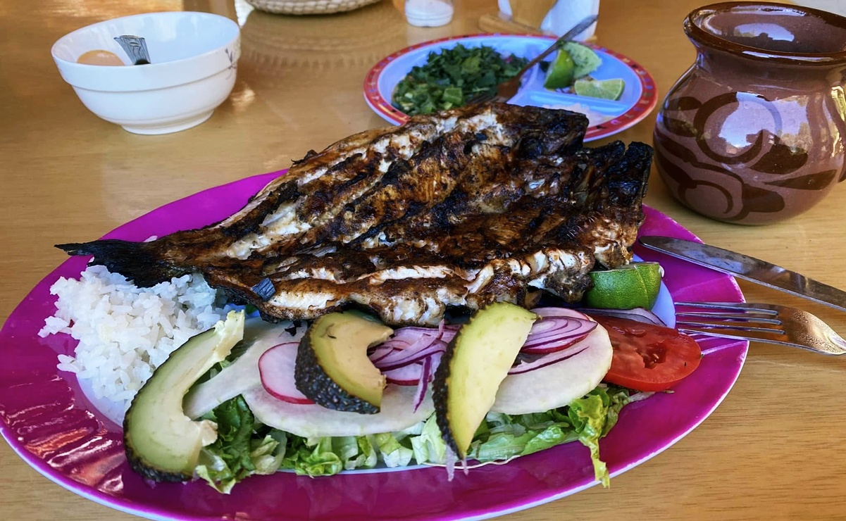 Foto: Facebook Rancho San Melchor.