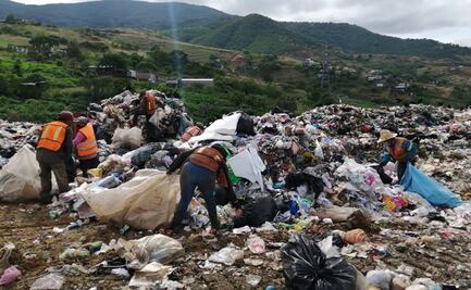 Bioeconomía: estudio ve potencial en Oaxaca en uso energético de residuos agrícolas y forestales