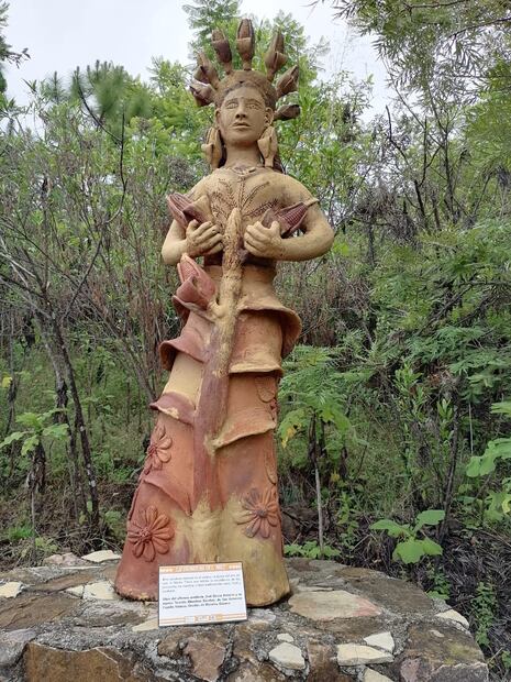 Reserva ecológica La Mesita en san Pablo Etla, Oaxaca. Foto: sucedioenoaxaca.com
