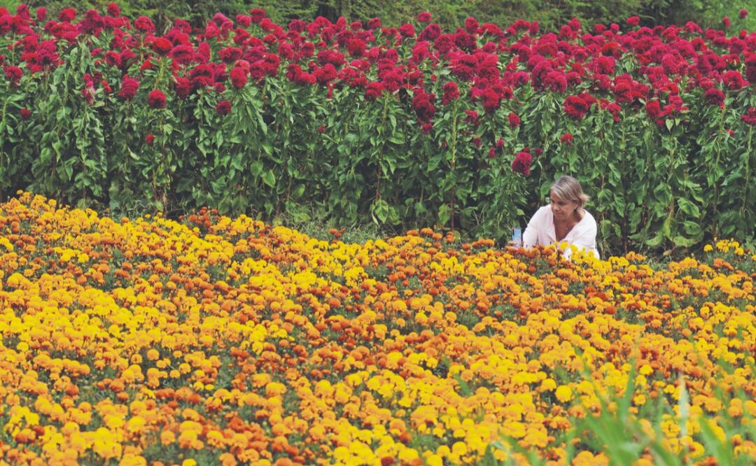 Fotografía: Edwin Hernández