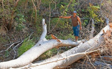 "Era un griterío, no sabíamos qué hacer"; poblador narra primeras horas tras descarrilamiento del Tren Interoceánico