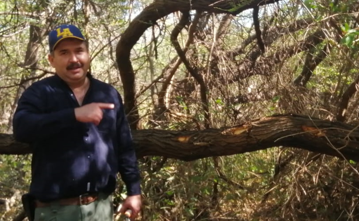 Organizan en Juchitán, Oaxaca, salvación y aprovechamiento del mezquite, el árbol ignorado por los zapotecas