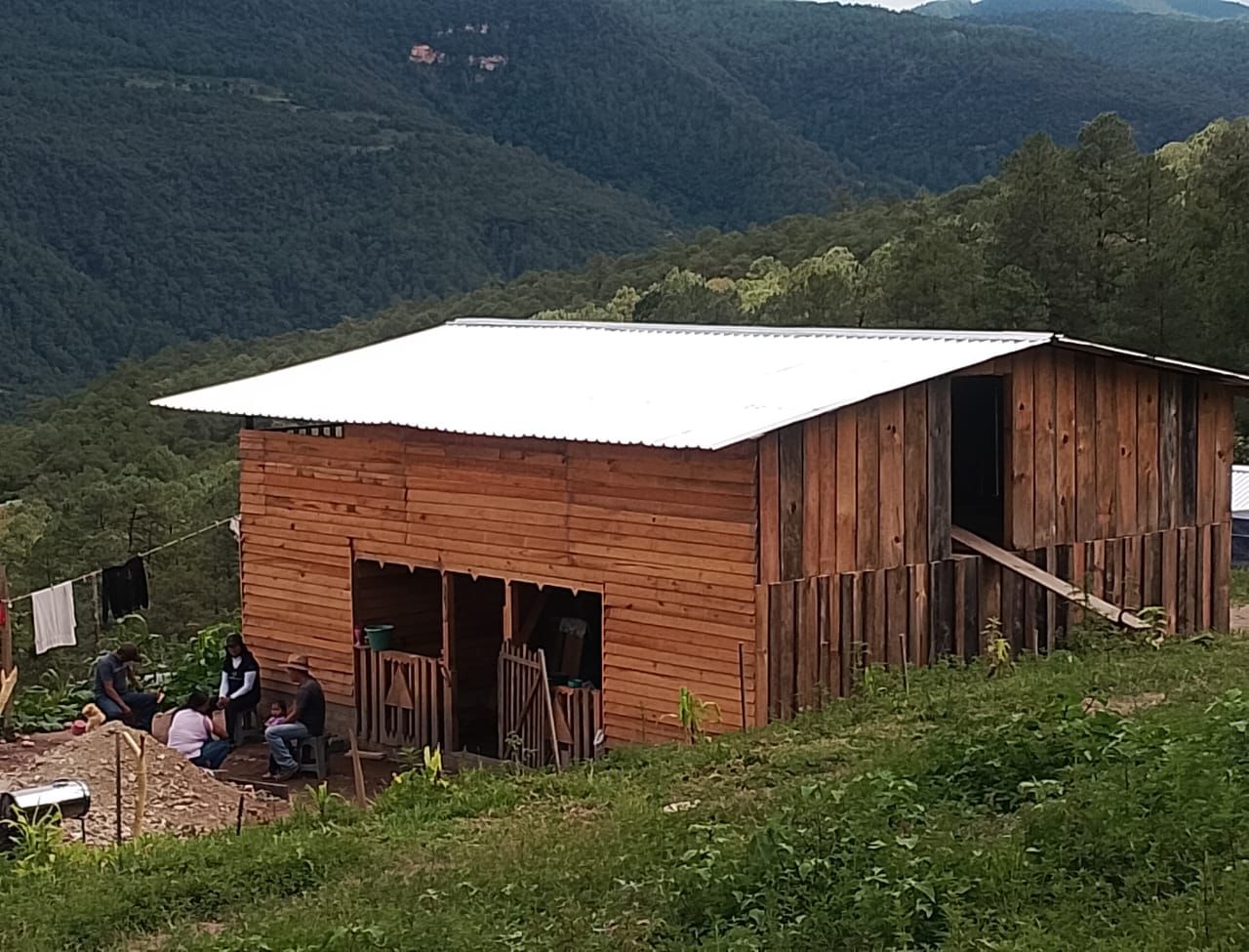 Aumenta tensión entre San Pedro El Alto y Santo Domingo Teojomulco, tras nueva invasión de tierras