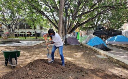 Solicitan 684 personas desempleadas en pandemia, apoyo municipal en “Labor Comunitaria”
