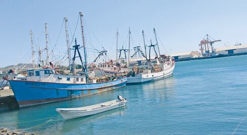 Sismo ahuyentó a los camarones en altamar