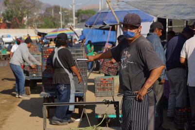 Coronavirus 24 de mayo. México llega a 7 mil 394 fallecidos por Covid-19 y 68 mil 620 casos